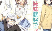 如果有妹妹就好了 漫画,一场关于亲情与成长的温馨漫画之旅